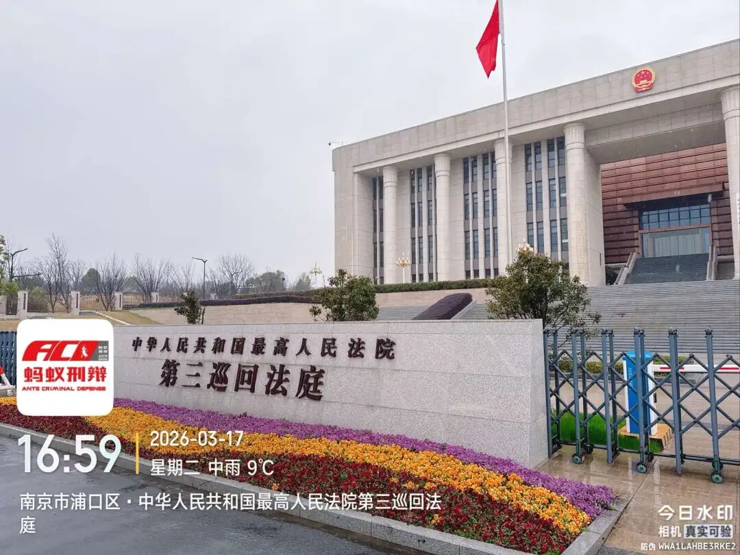 奔跑的蚂蚁｜2026年 第四周：笃行不止步，奋进启新程