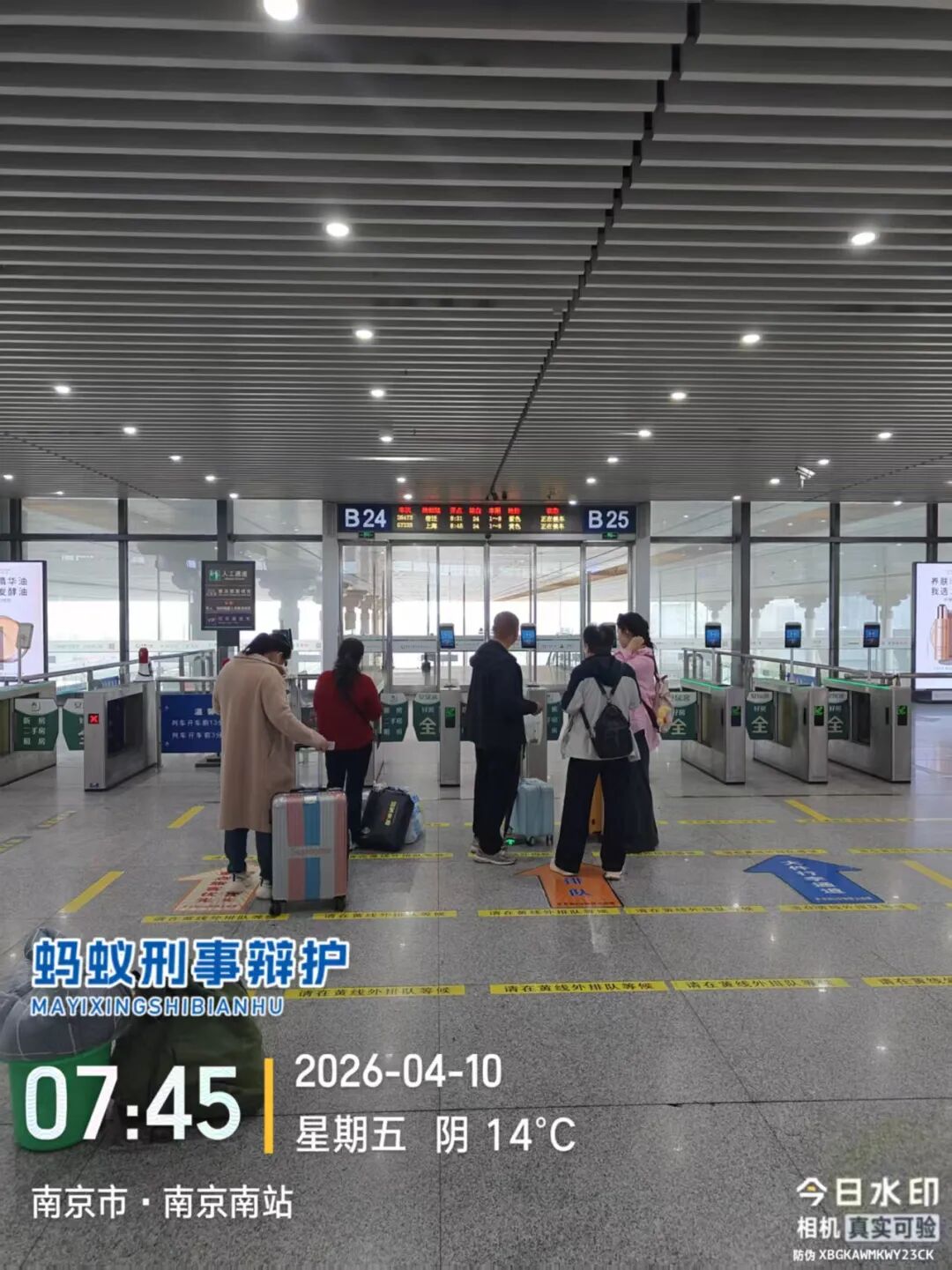 奔跑的蚂蚁｜2026年 第七周：实干赴初心，专业护公正