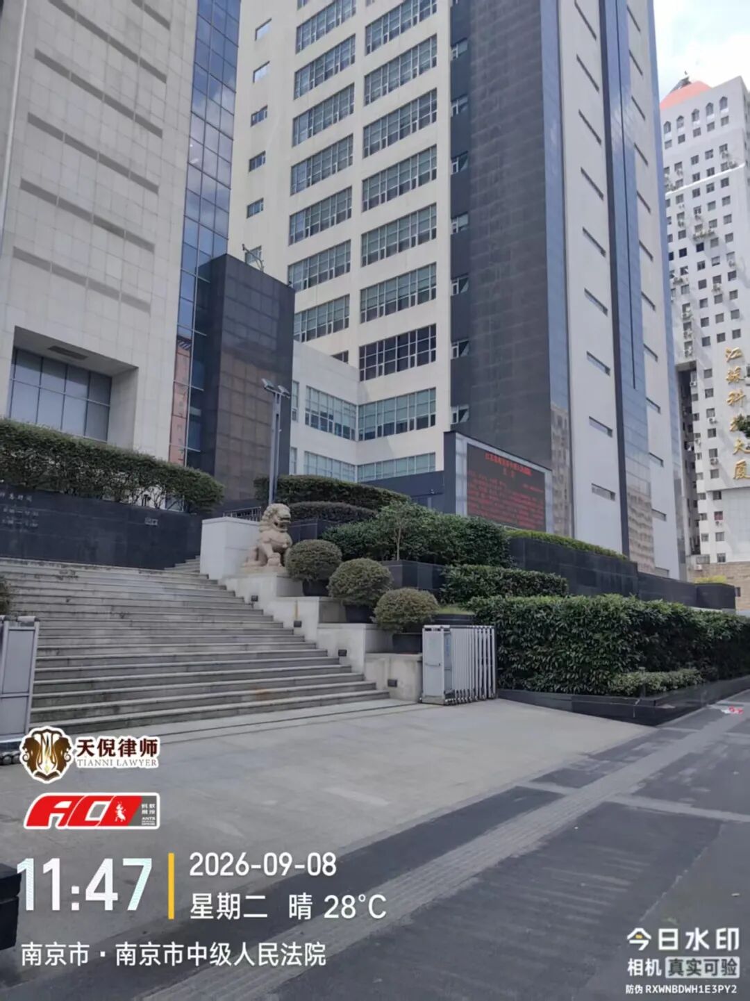 奔跑的蚂蚁 | 2026年 第二十九周：奔走异地开庭办案，精研文书夯实案件策略