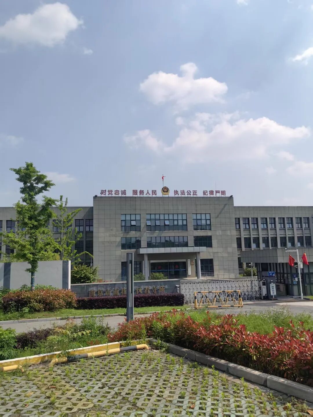 奔跑的蚂蚁｜2026年 第十周：深耕疑难案，专业启新程