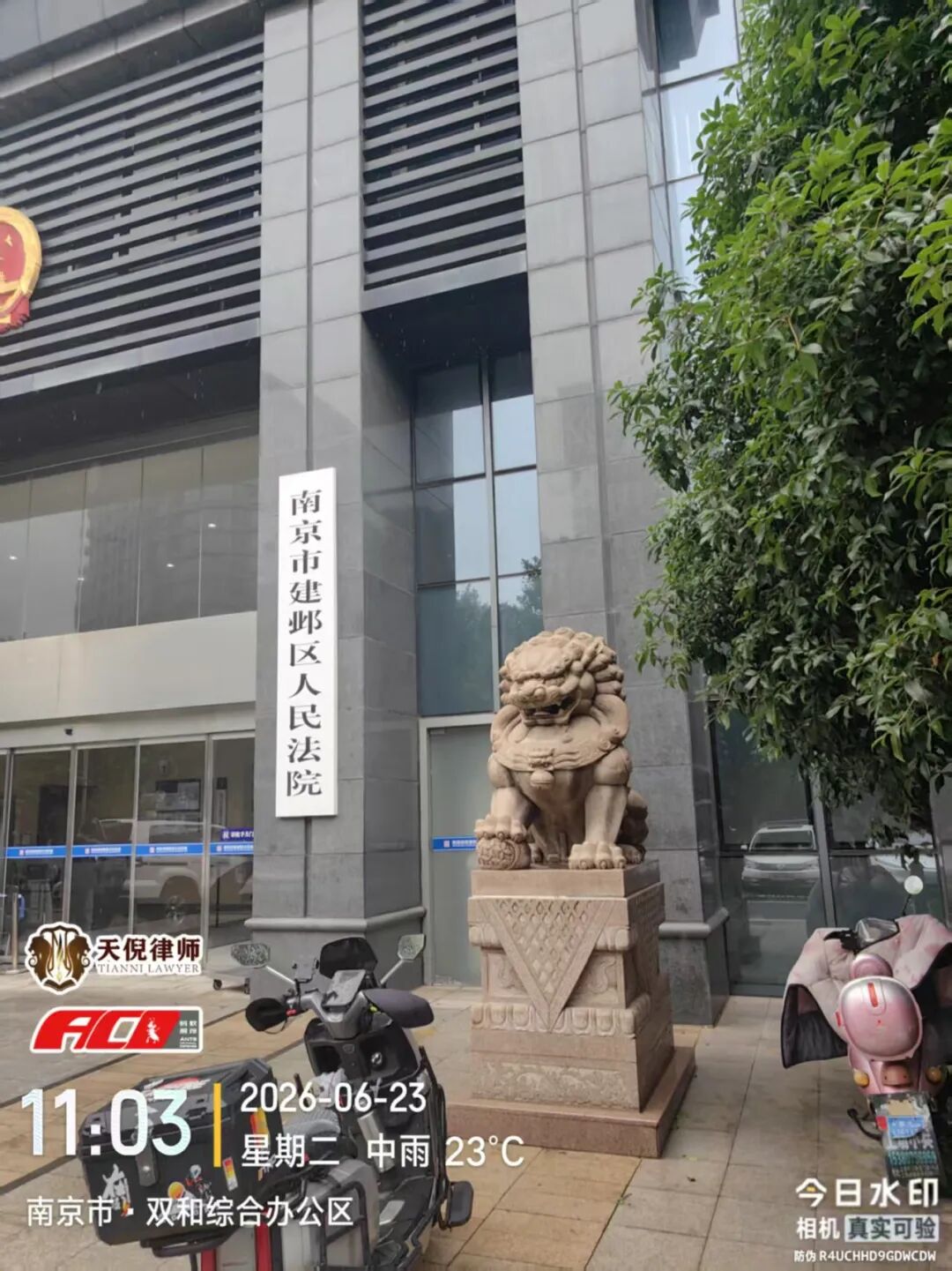 奔跑的蚂蚁｜2026年 第十八周：扎根一线深耕办案实务，精研法理筑牢专业根基