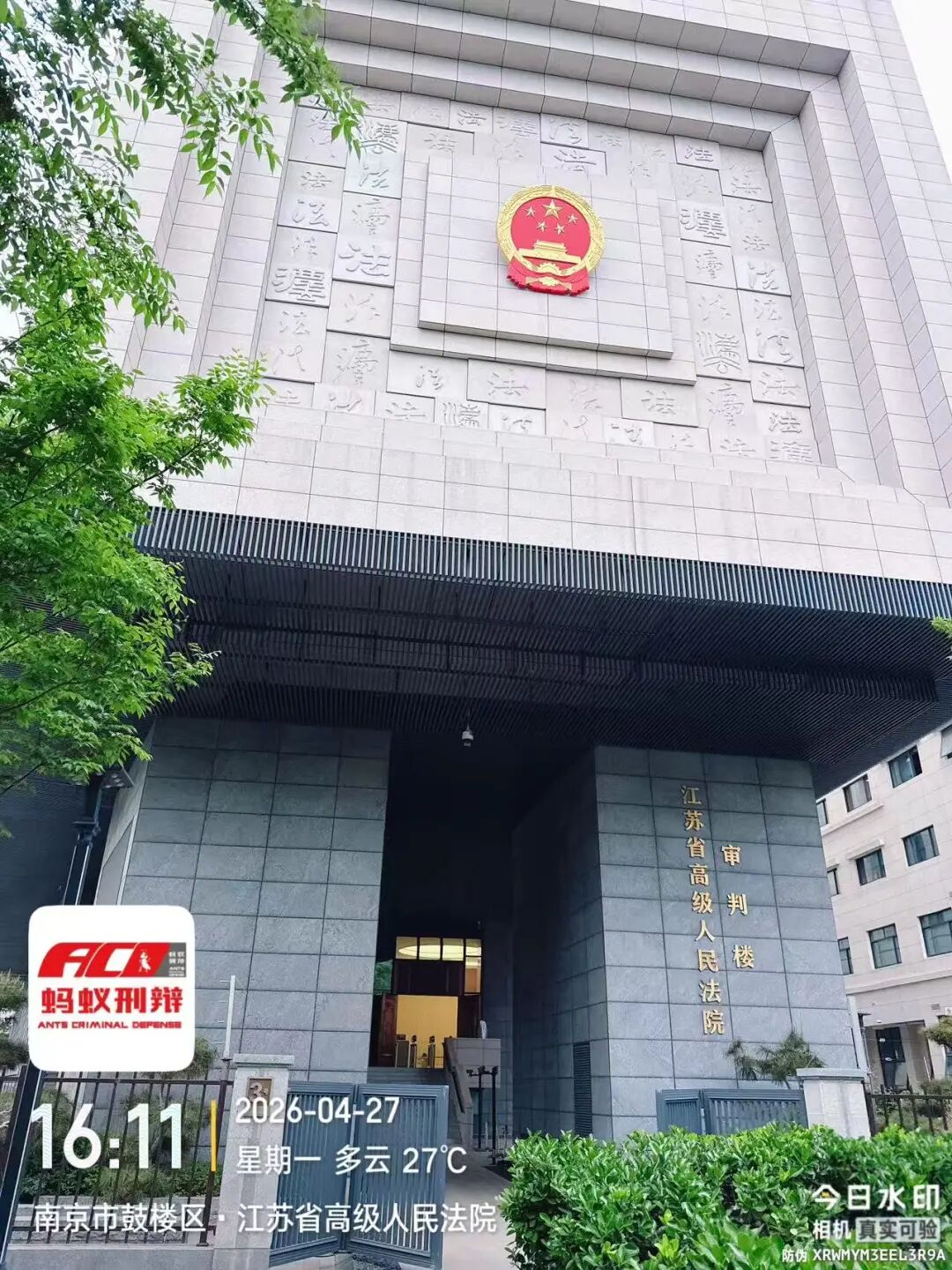 奔跑的蚂蚁｜2026年 第十周：深耕疑难案，专业启新程