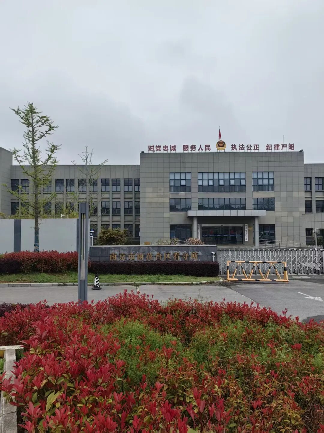 奔跑的蚂蚁｜2026年 第六周：勤勉尽所托，笃行践使命