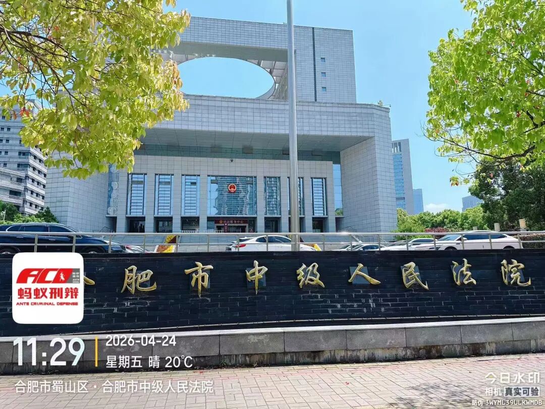 奔跑的蚂蚁｜2026年 第九周：聚力再出发，刑辩显担当