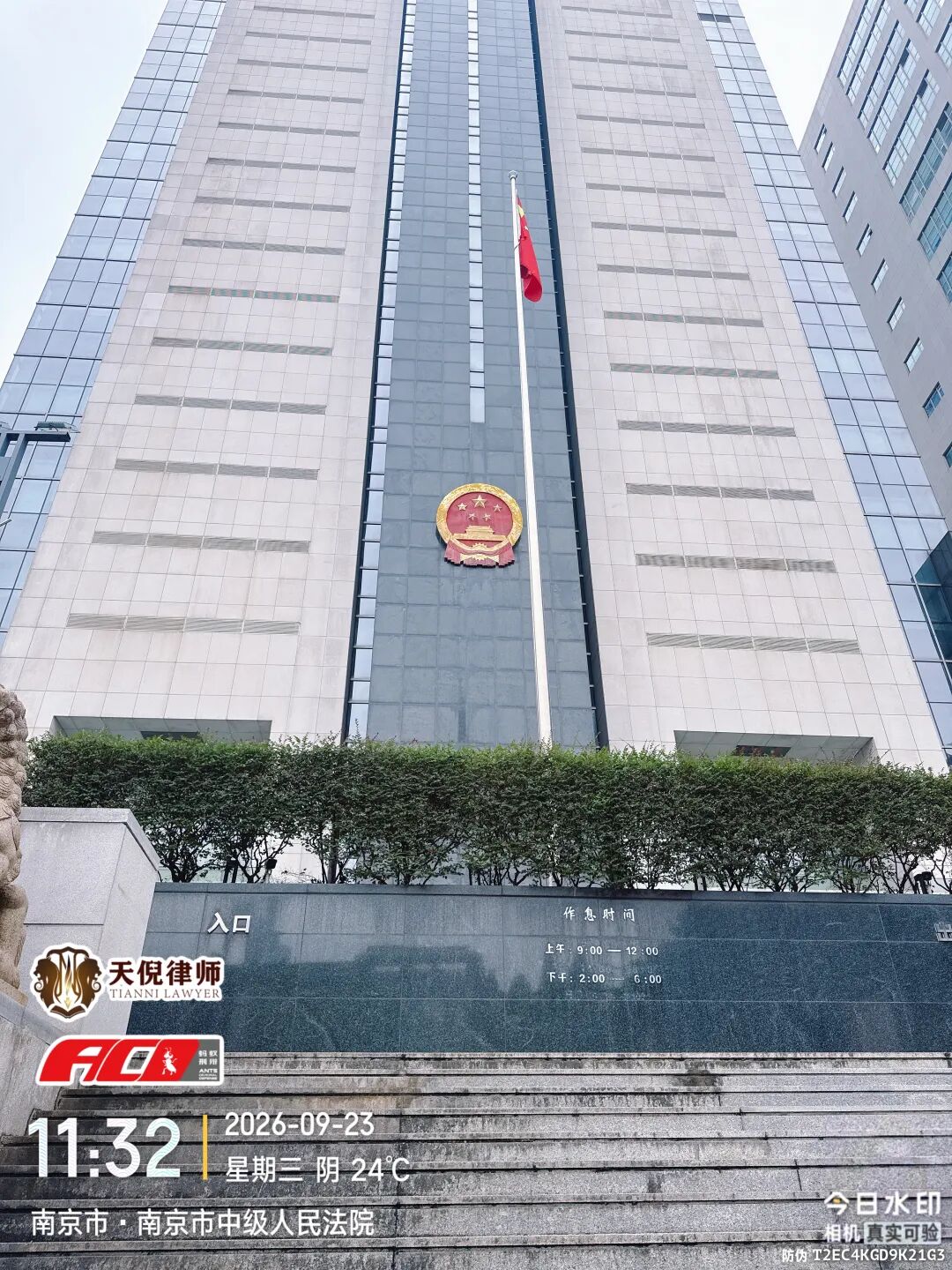 奔跑的蚂蚁｜2026年 第三十一周：深耕卷宗研判案情，奔走检法维护权益