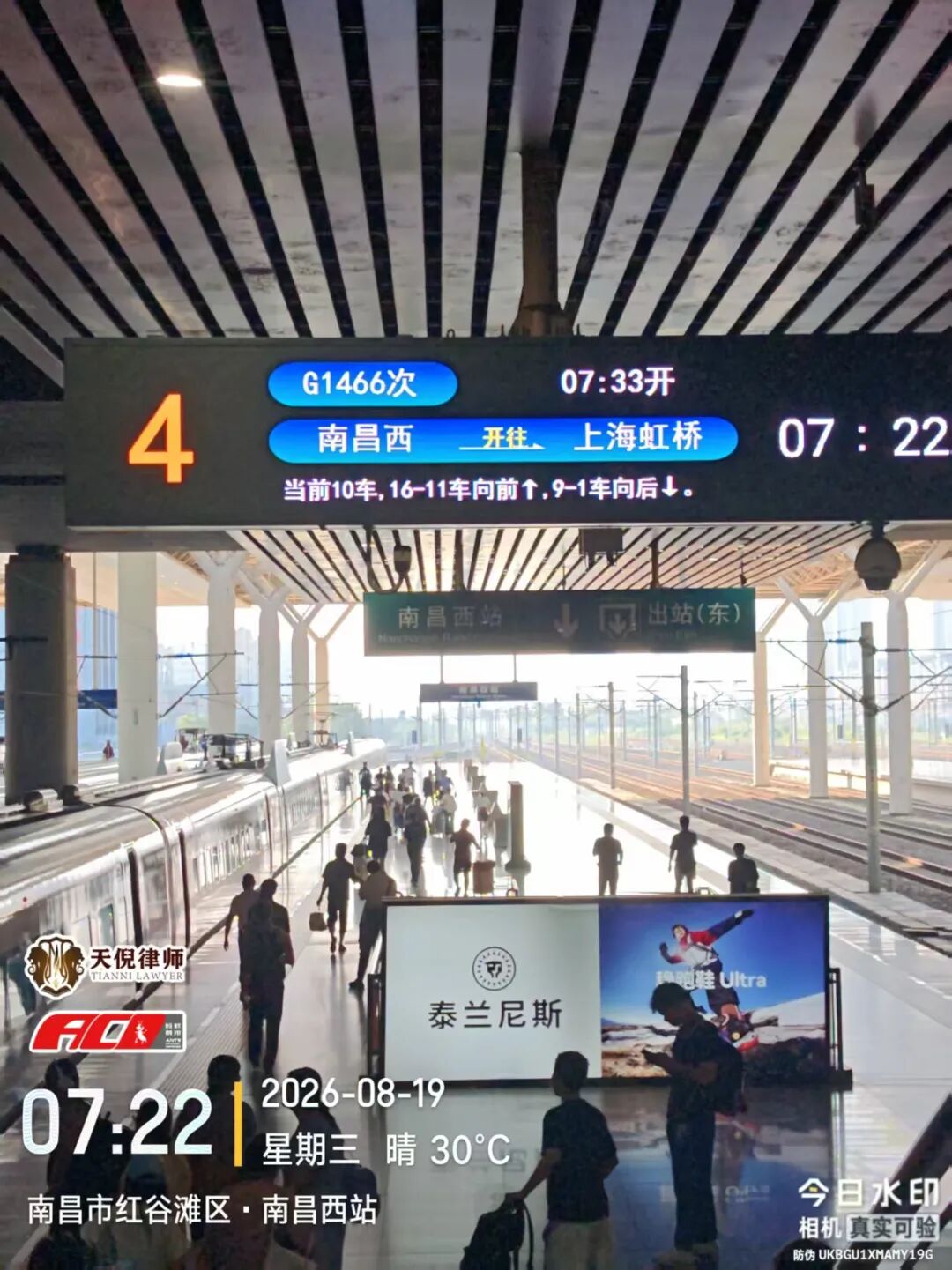 奔跑的蚂蚁｜2026年 第二十六周：深耕实务研判证据，奔赴异地恪尽职责