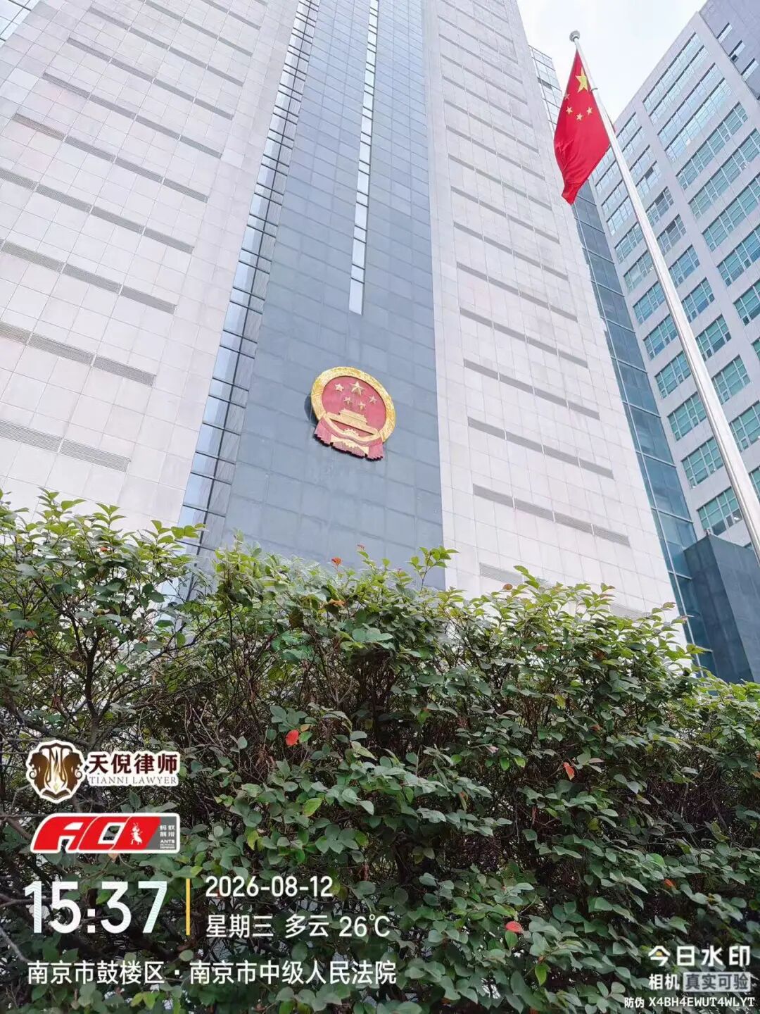 奔跑的蚂蚁｜2026年 第二十五周：笃行实务深耕案卷，奔走履职守护权益