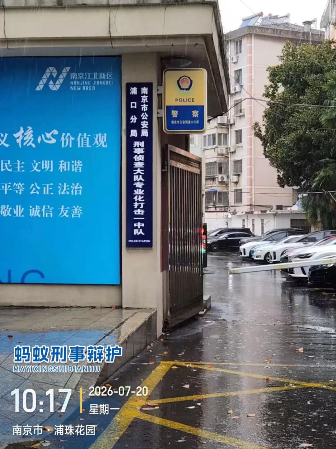 奔跑的蚂蚁｜2026年 第二十二周：研法笃行深耕实务，步履不息不负托付