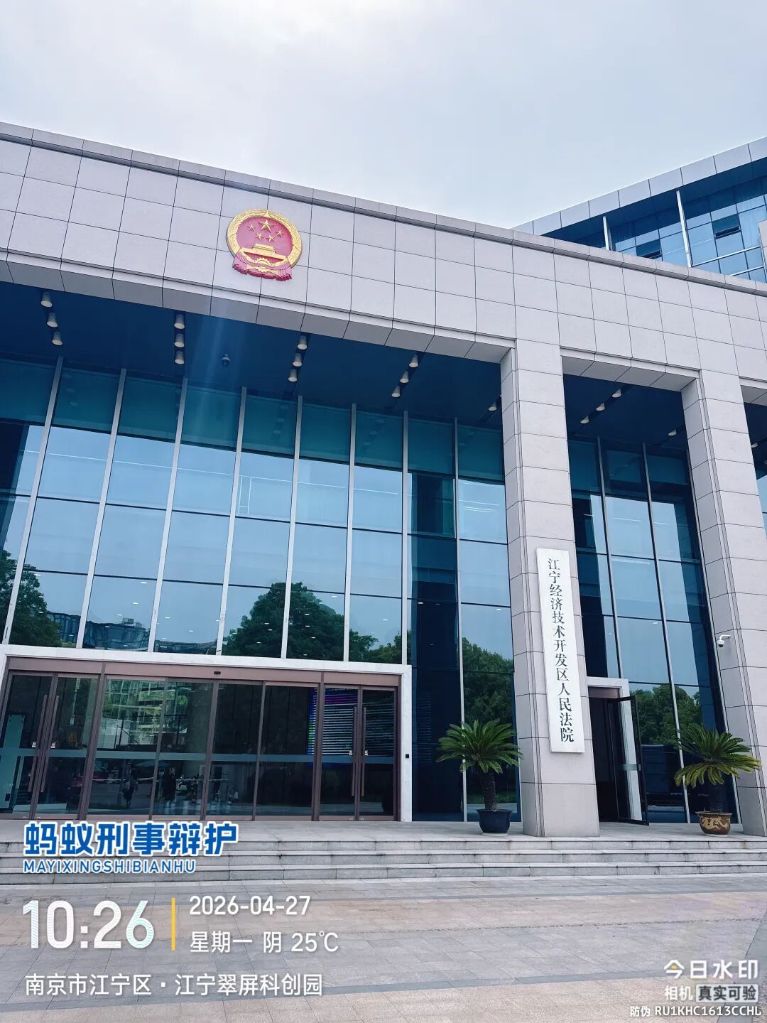 奔跑的蚂蚁｜2026年 第十周：深耕疑难案，专业启新程