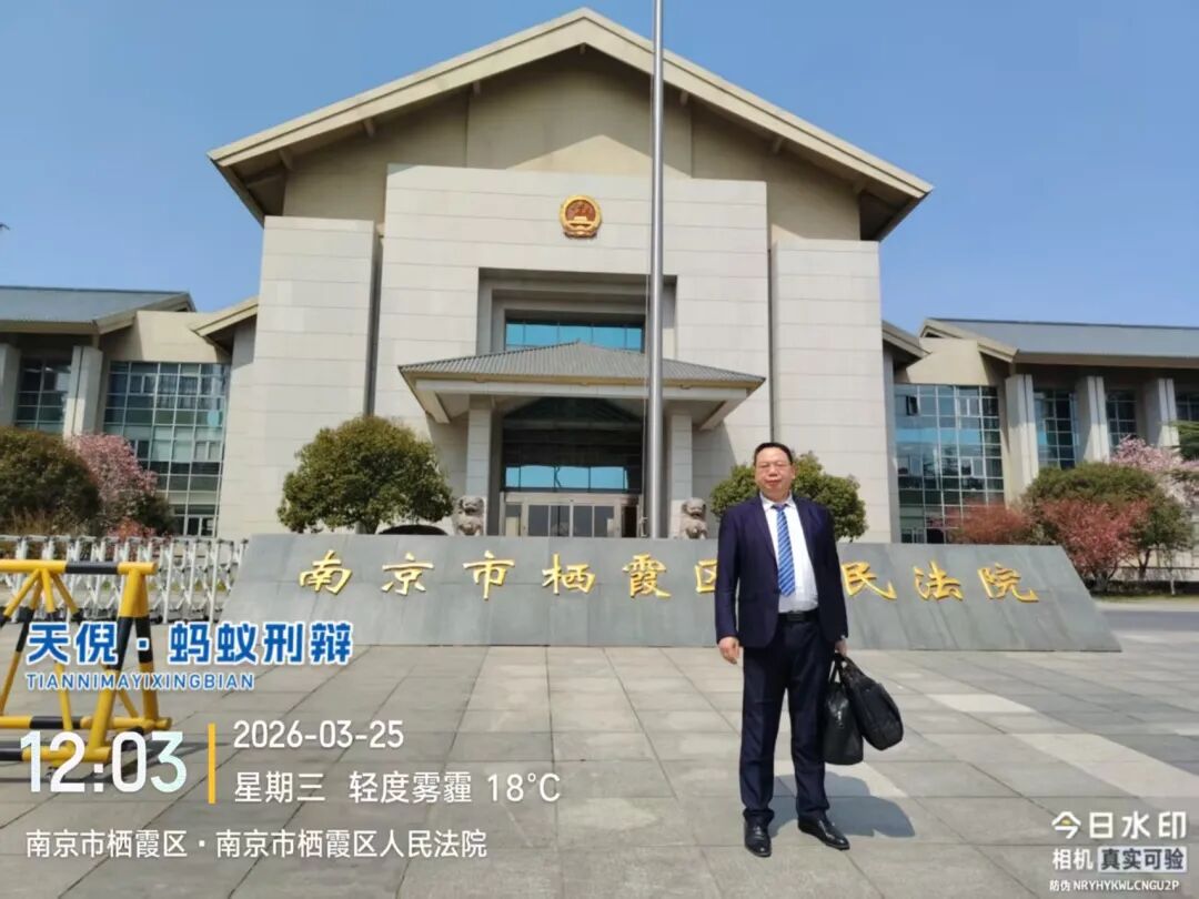 奔跑的蚂蚁｜2026年 第五周：实干赴新程，刑辩守初心