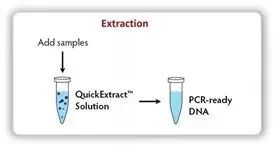 核酸用什么试剂鉴定盘点核酸提取纯化主要应用场景及解决方案_https://www.jmylbn.com_新闻资讯_第12张