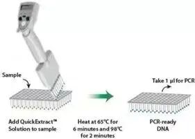 核酸用什么试剂鉴定盘点核酸提取纯化主要应用场景及解决方案_https://www.jmylbn.com_新闻资讯_第13张