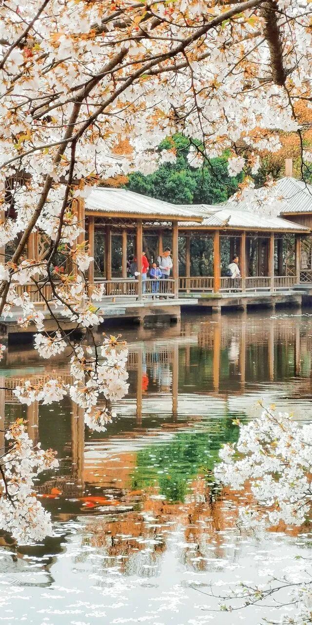 “大江南北，平分春色”，今天，我们一起跟着眼睛去旅行！