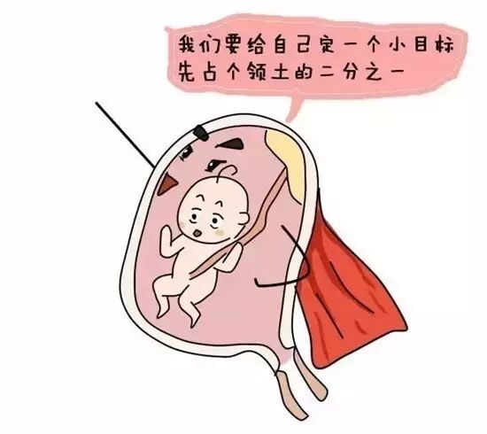 怀孕后妈妈的内脏究竟有多拥挤?赶紧看过来!-怀孕期