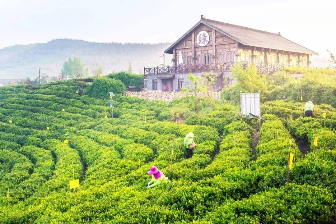 浅谈乡村旅游度假模式(图2)