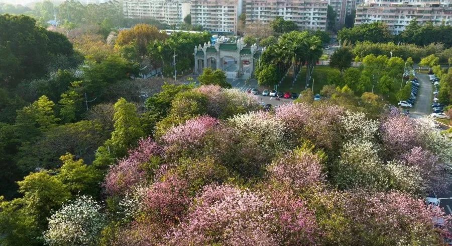 華南農業大學錄取分數線_華南農業2021錄取分數線_華南農業大學最低錄取分數線