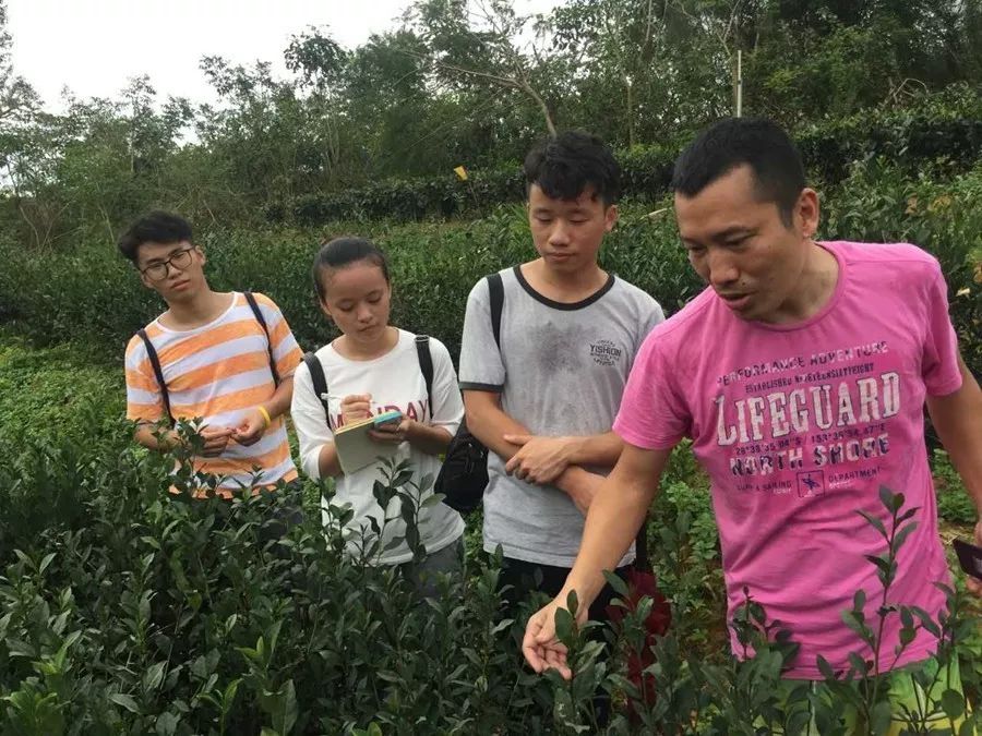 指导老师刘少群博士(右一)带领学生在茶园中调研