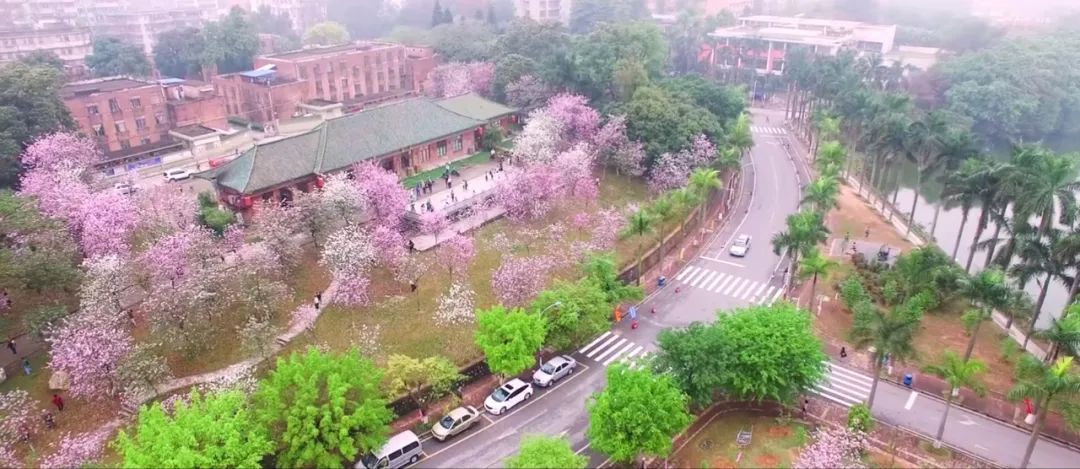 华南农业大学宿舍管理_刘应亮 华南农业_华南农业大学树木园