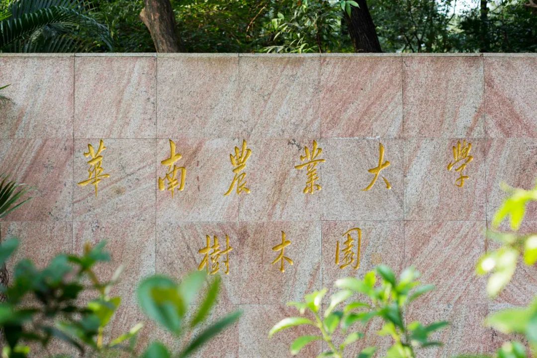 刘应亮 华南农业_华南农业大学树木园_华南农业大学宿舍管理