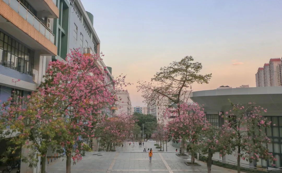 华南农业大学宿舍管理_刘应亮 华南农业_华南农业大学树木园