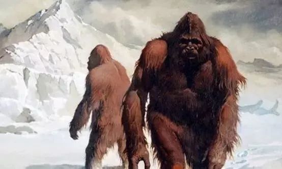 世间未知生物_世间未知生物_世间未知生物