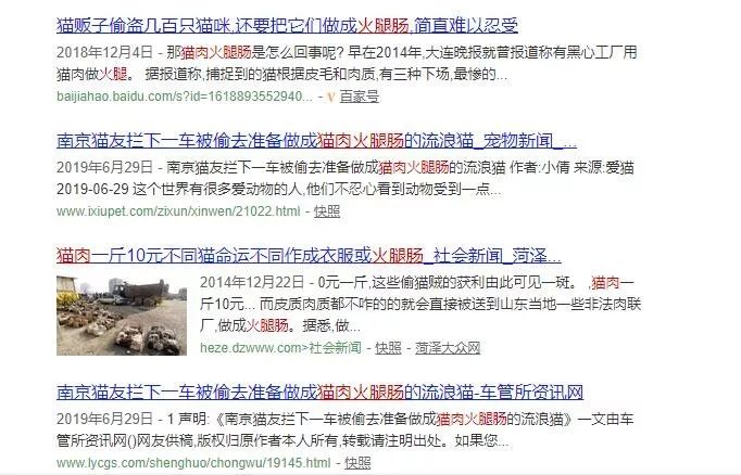 「我們截獲了一輛塞了300隻貓的運貓車...」 寵物 第27張