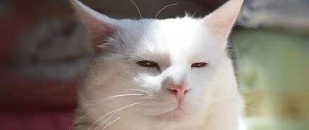 祝我七夕快乐的，我都不想打开，因为……