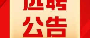 灵武市2026年公开选聘市属国有企业管理人员公告