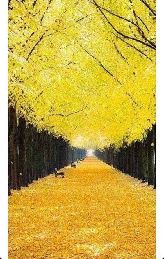 赤 橙 黄 绿 青 蓝 紫 七彩的美 太好看了 大人基地 微信公众号文章阅读 Wemp