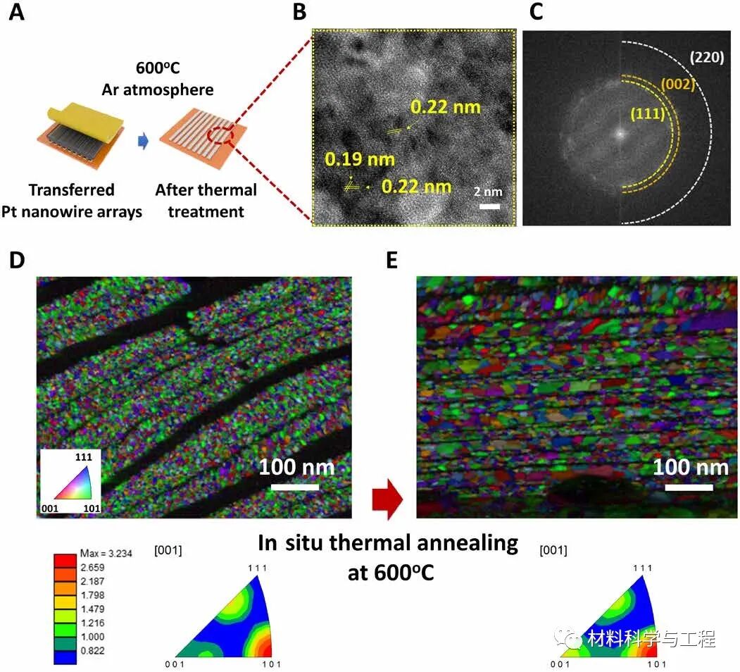 《Sci Adv》：高性能燃料电池电极的一种3D打印独特电催化剂的图3