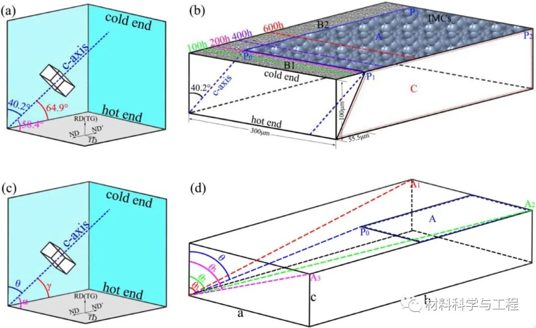 大连理工《Acta Mater》：温度梯度下Cu-Sn接头界面的准原位观察的图5