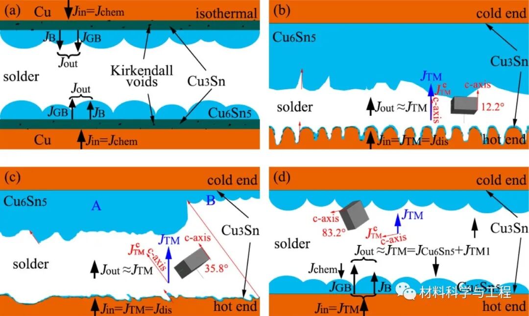 大连理工《Acta Mater》：温度梯度下Cu-Sn接头界面的准原位观察的图4