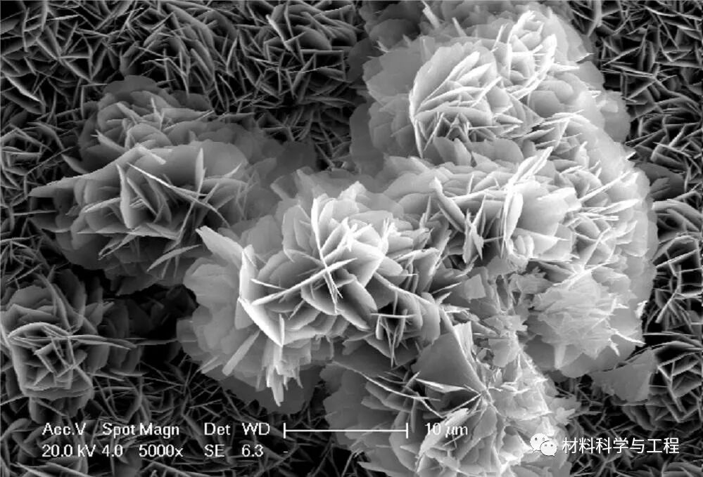 重磅：材料之美，第八届材料微结构大赛结果公布！的图49