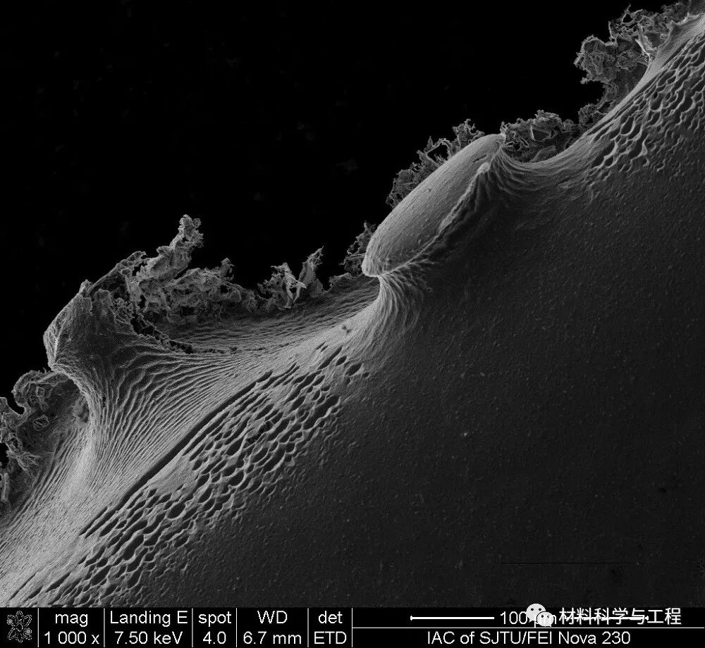 重磅：材料之美，第八届材料微结构大赛结果公布！的图14