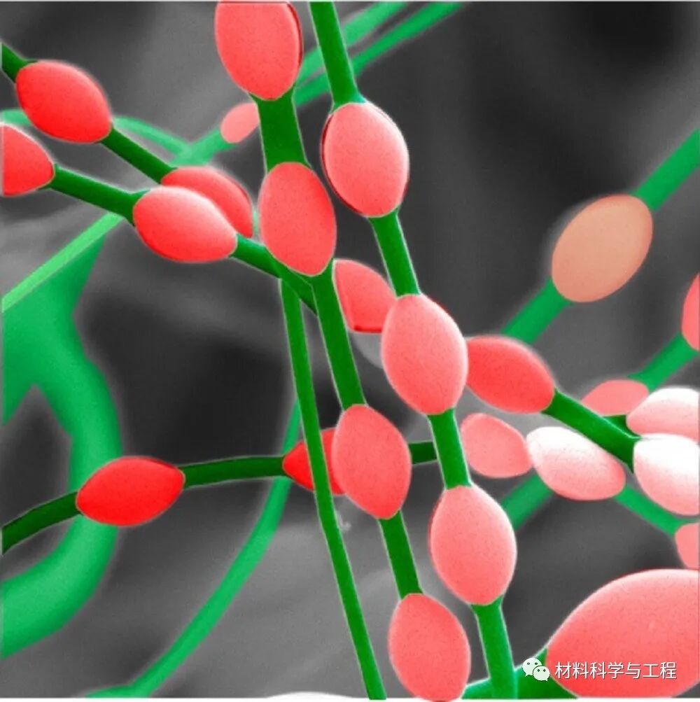 重磅：材料之美，第八届材料微结构大赛结果公布！的图44