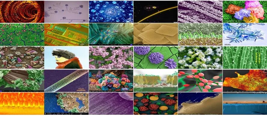 重磅：材料之美，第八届材料微结构大赛结果公布！的图1