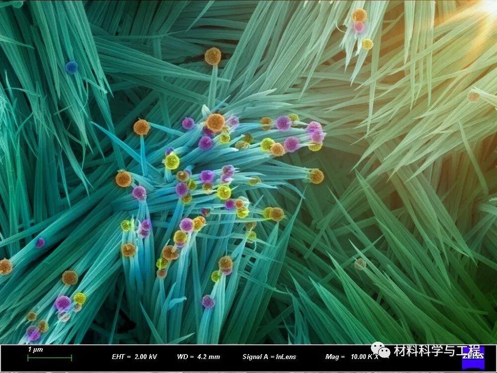 重磅：材料之美，第八届材料微结构大赛结果公布！的图15