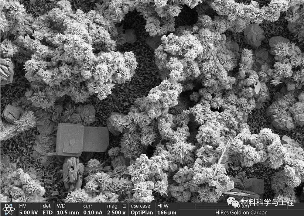 重磅：材料之美，第八届材料微结构大赛结果公布！的图12