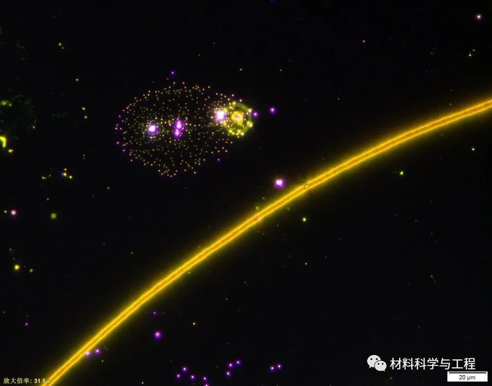 重磅：材料之美，第八届材料微结构大赛结果公布！的图52