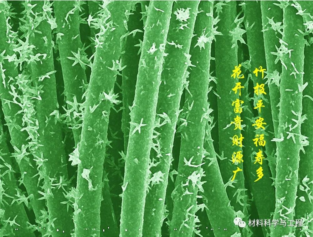 重磅：材料之美，第八届材料微结构大赛结果公布！的图50