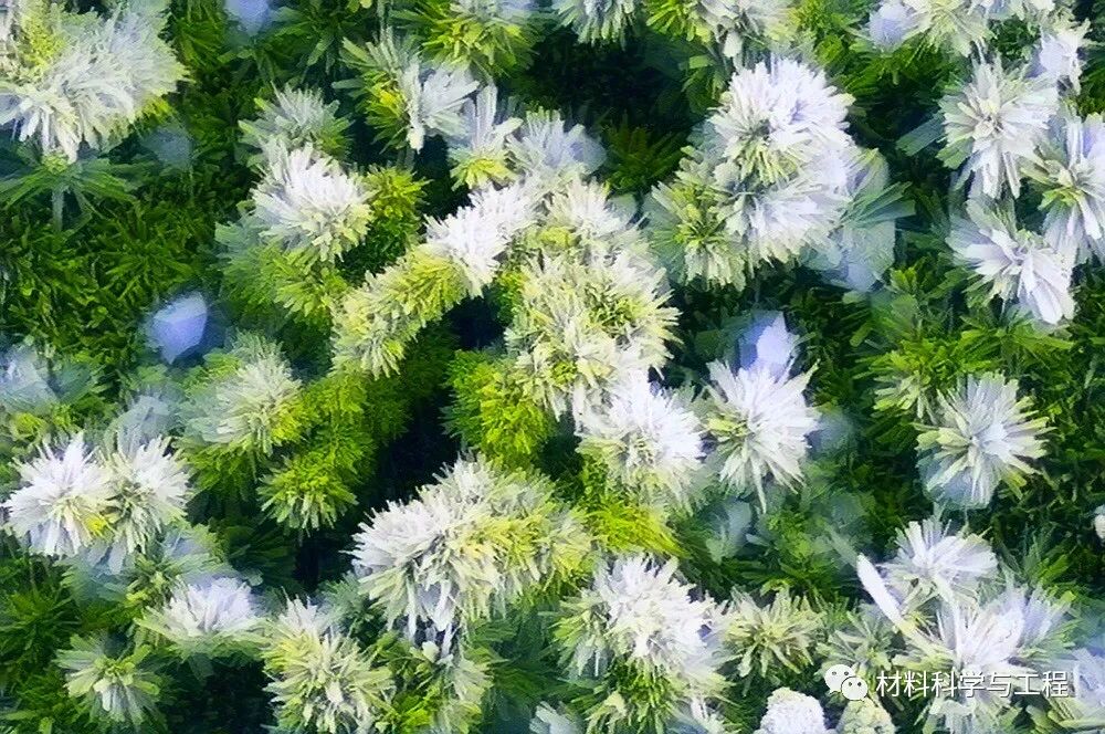 重磅：材料之美，第八届材料微结构大赛结果公布！的图27