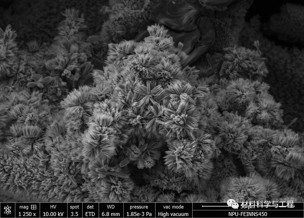 重磅：材料之美，第八届材料微结构大赛结果公布！的图4