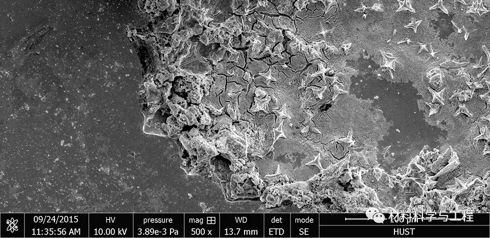 重磅：材料之美，第八届材料微结构大赛结果公布！的图10