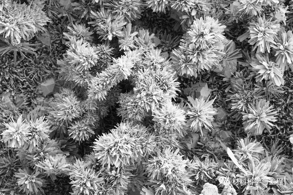 重磅：材料之美，第八届材料微结构大赛结果公布！的图28