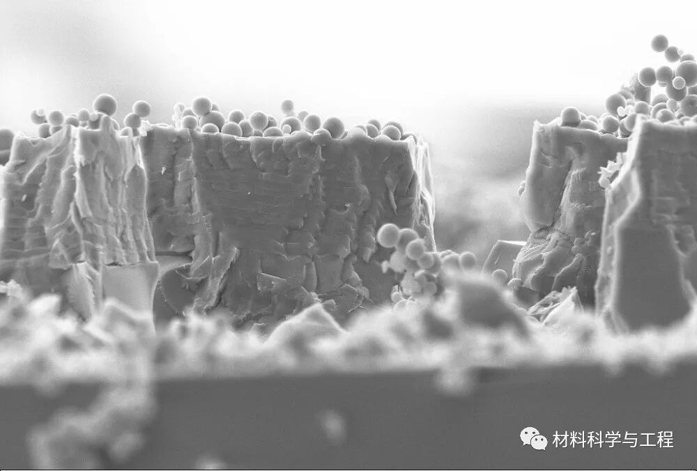 重磅：材料之美，第八届材料微结构大赛结果公布！的图47