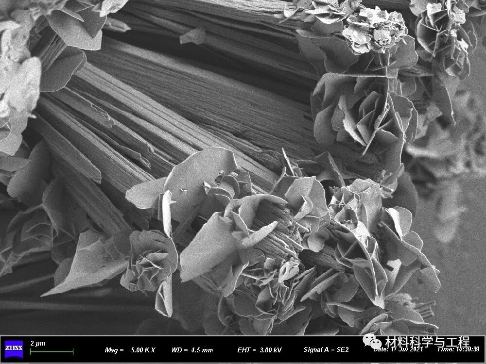 重磅：材料之美，第八届材料微结构大赛结果公布！的图34