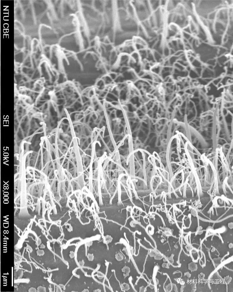 重磅：材料之美，第八届材料微结构大赛结果公布！的图56