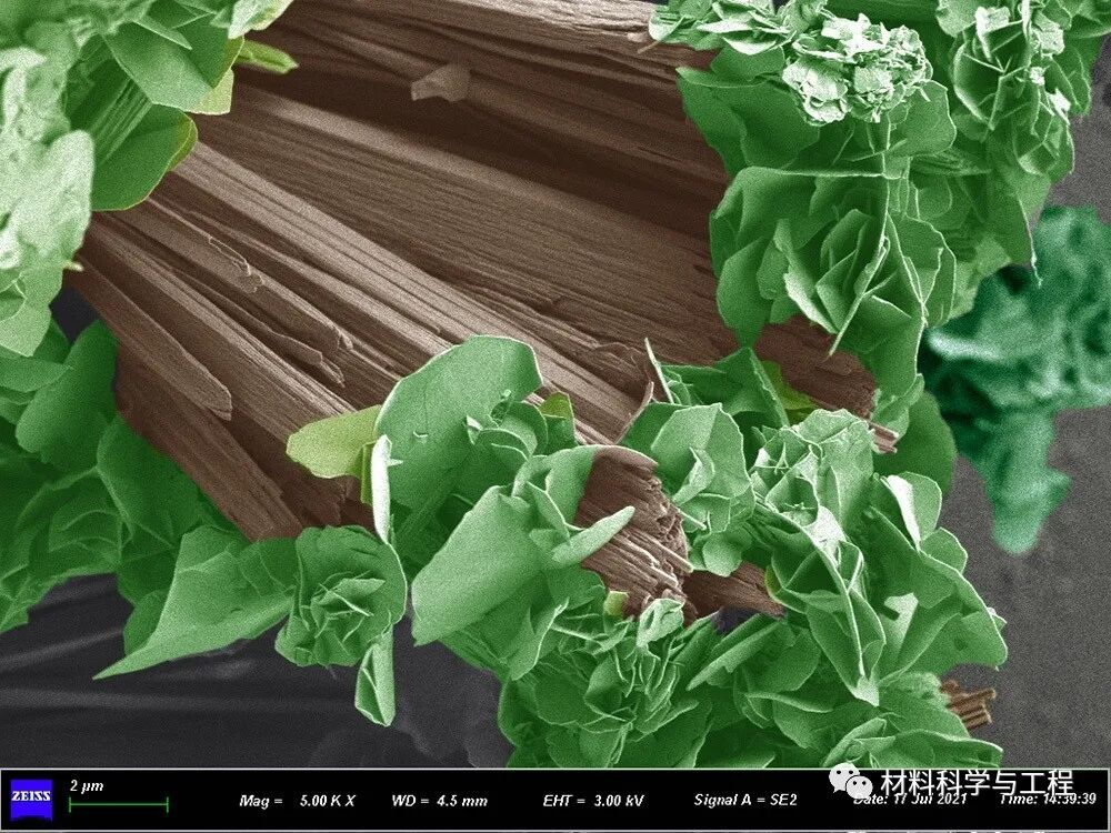 重磅：材料之美，第八届材料微结构大赛结果公布！的图33