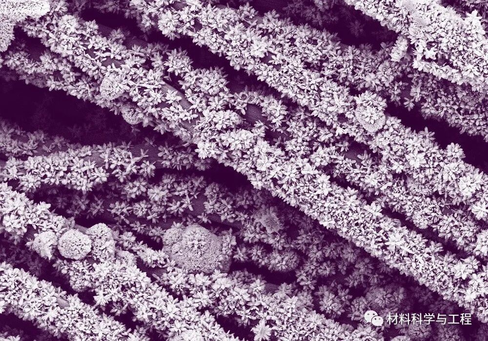 重磅：材料之美，第八届材料微结构大赛结果公布！的图39