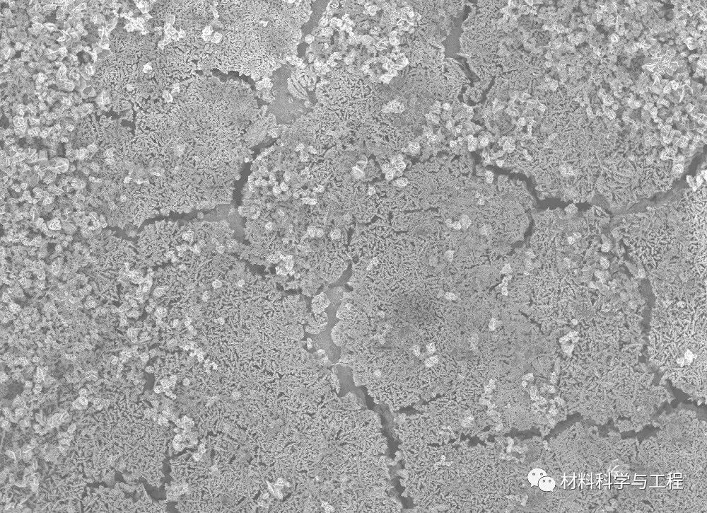 重磅：材料之美，第八届材料微结构大赛结果公布！的图22